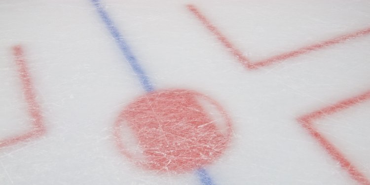 College Town in IL Proposes Taxpayer-Funded $17M Hockey Rink Expansion